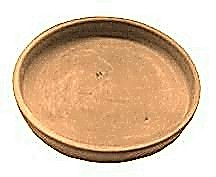 Catégorie Soucoupes Catégorie Soucoupes