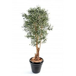 Catégorie Plantes et arbres