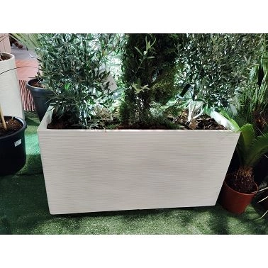 Catégorie Bac béton fibré