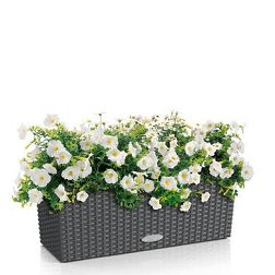 Catégorie Lechuza Cottage