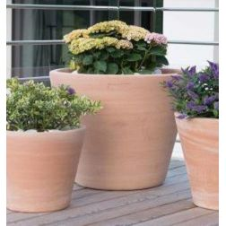 Catégorie Goicoecha Catégorie Goicoecha