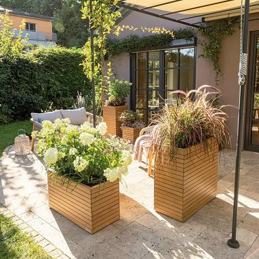 Catégorie Lechuza Bois naturel d'eucalyptus