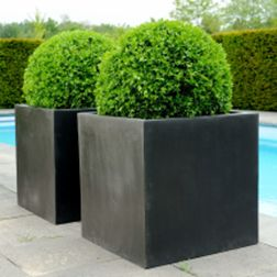 Catégorie Fiberstone