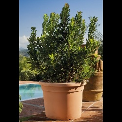 Catégorie Rotomoulé - Idel