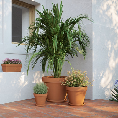 Catégorie Poterie Horticole