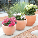 Goicoechea contemporain cuvier bas terre naturelle (Diam 35 Ht 26)