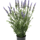 Plante Artificielle Lavande Pot de 55 cm UV/FR