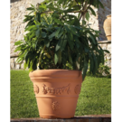Idel Pot Double Rebord à Festons (Diam 50 Ht 39)