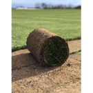 Gazon natuel en Rouleau (m2)