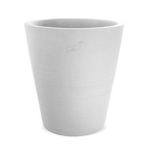 Ravel terre blanche Cycas lisse (Diam 45 Ht 50)