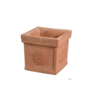 Vaserie Toscana cube feston (50x50x50)