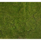 Mur vegetal mousse plaque (103x103)