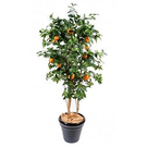 Plante artificiel oranger (180 (11355))