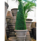 Plante artificiel Cèdre cône (Diam 35 Ht 100)