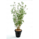 Plante artificiel Bambous - multitree oriental ht 150 (1514)