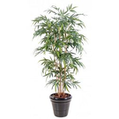Plante artificiel Bambous - ht 180 (1515)
