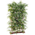 Plante artificiel Bambous - haie socle bois 105x150 (11623)