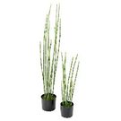 Plante artificiel graminées - Prêle (100)