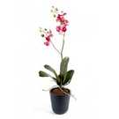 Plante artificiel orchidée fuchsia
