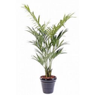 Plante artificiel kentia palm (Ht 210 (10796))