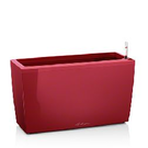 Lechuza Premium cararo rouge (75x30x43)