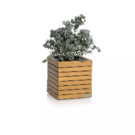 Lechuza bois naturel Eucalyptys cube (35x35x37)