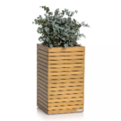 Lechuza bois naturel Eucalyptys cube haut (35x35x59)