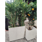 Bac béton fibré rectangle blanc cassé (80x25x71)