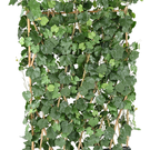 Plante Artificielle Vigne Haie (VIHAPL) Ht 115 cm UV