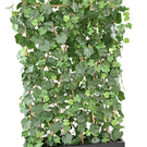 Plante Artificielle Vigne Haie 170 cm (170C)