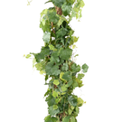 Plante Artificielle Vigne Tree Ht 140 cm