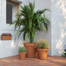 Poterie Horticole Amalia