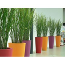 PAPI - Pot Design rond 