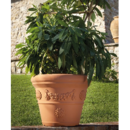 Pot Double Rebord à Festons