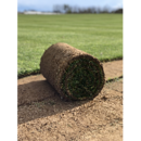 GAZON NATUREL EN ROULEAU