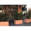 Bac Rectangle Fiberstone