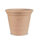 Ravel Camélia Ravel Camélia