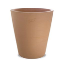 Ravel Cycas Lisse Ravel Cycas Lisse