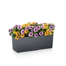 LECHUZA COLOR Balconera